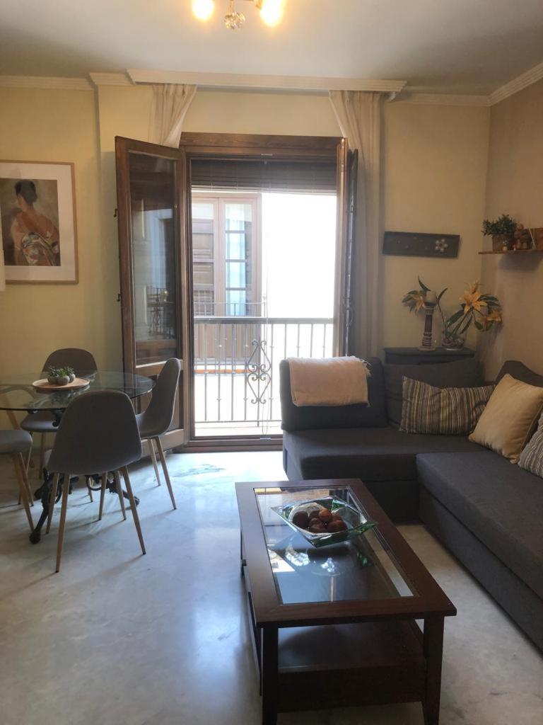 Centro Ciudad Y Parking Apartment Granada